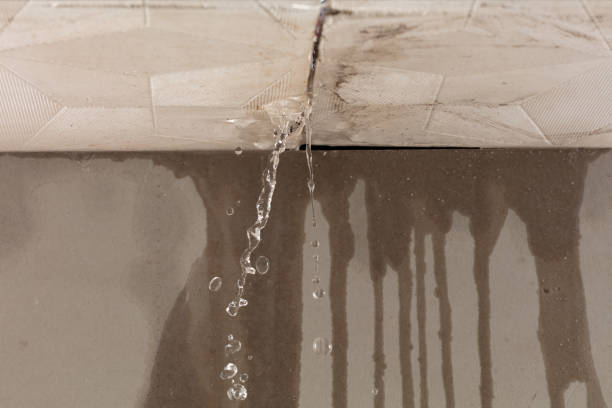 Professional Flood Damage Cleanup technician working in Mazon, IL